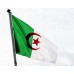 Знаме на Алжир