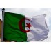 Знаме на Алжир