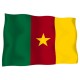 Знаме на Камерун