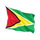 Знаме на Гвиана