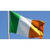Знаме на Ирландия(Ейре)