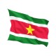 Знаме на Суринам