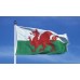 Знаме на Уелс