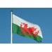 Знаме на Уелс