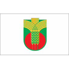 Знаме на Община Добричка