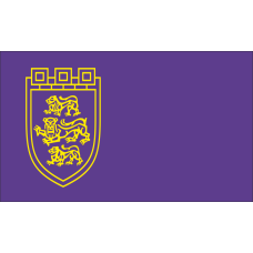 Знаме на Община Велико Търново