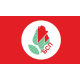 Знаме на политическа партия БСП