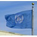 Знаме на ООН