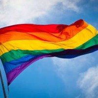Знаме с цветовете на дъгата 90 х 150 см. Знаме с цветовете на дъгата 90 х 150 см.